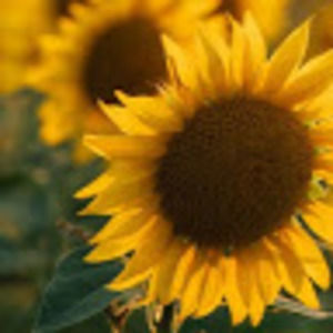 Meet your Posher, Haleigh